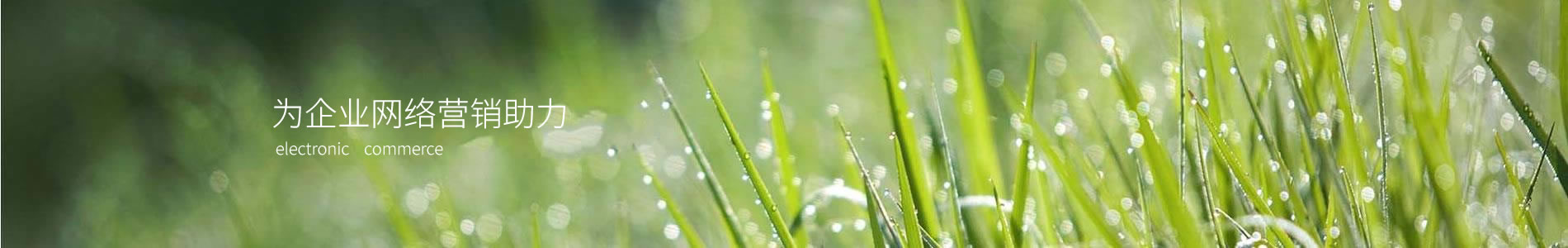 ԰Ƽ޹˾